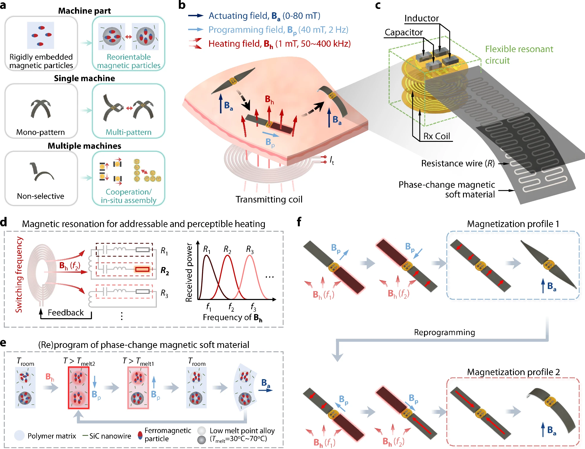 Addressable and perceptible dynamic reprogram of ferromagnetic soft machines